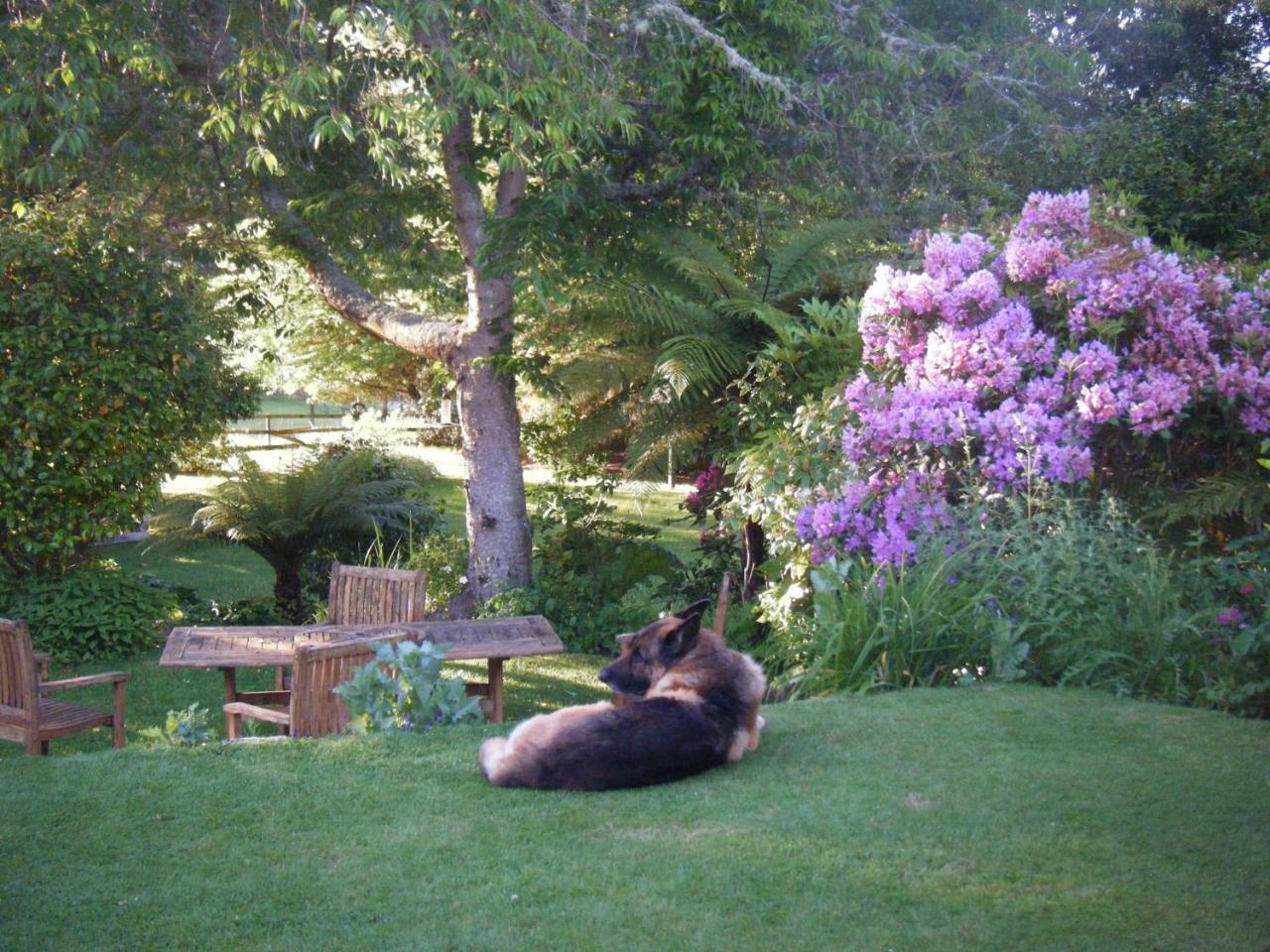 Bed and Breakfast Twynham At Kinloch Экстерьер фото